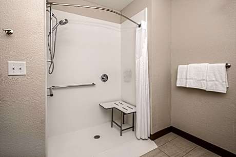 1 King Standard Communication Accessible Roll In Shower