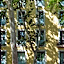 Abba Rambla Hotel