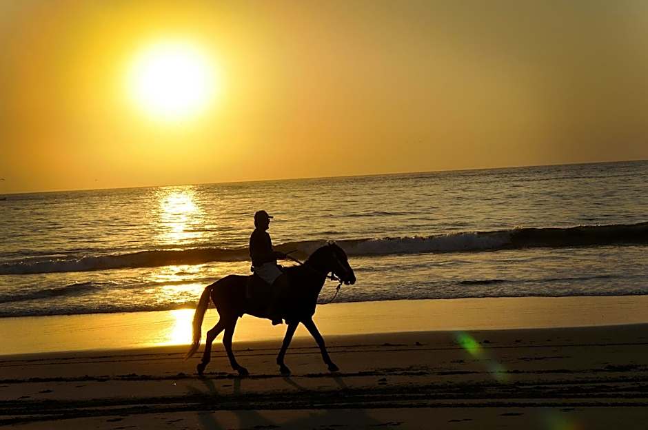 Aranwa Vichayito Beach Resort