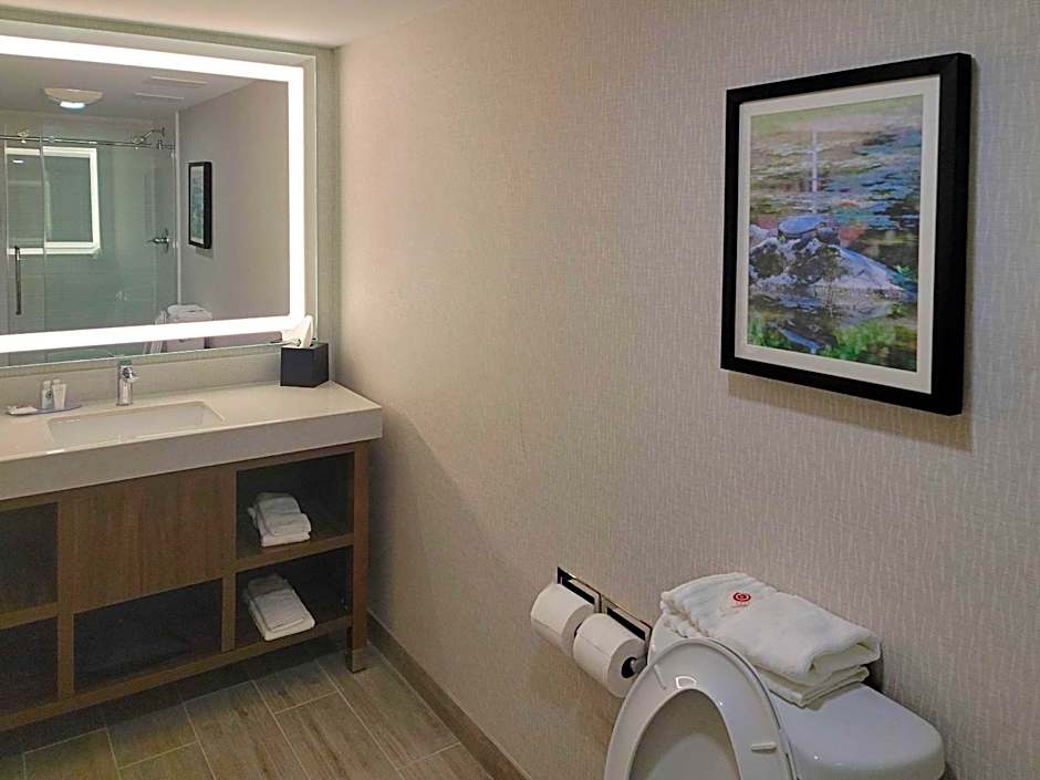 Comfort Inn & Suites Wyomissing - Reading