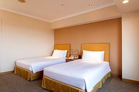 Deluxe Twin Room with Airport View - High Floor