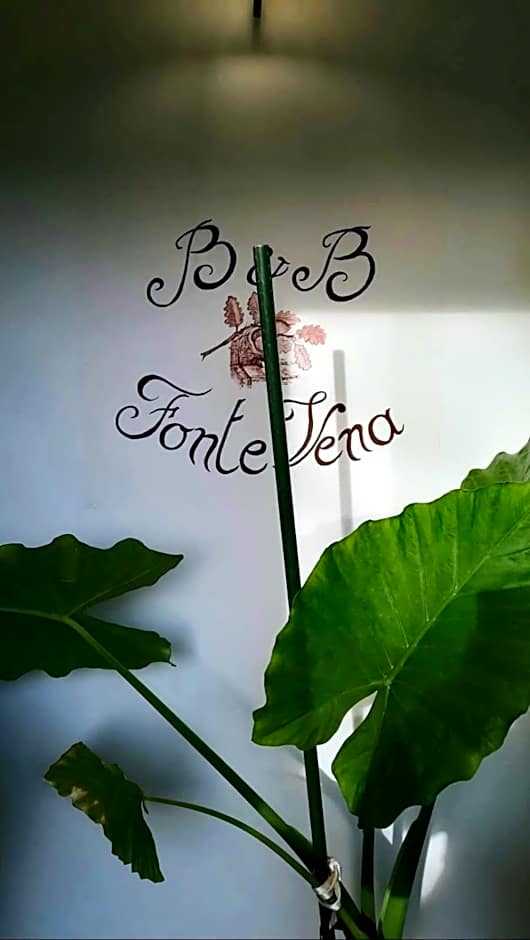 B&B Fonte Vena