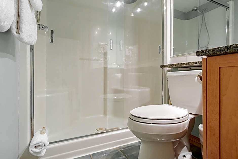 The best ski in ski out two bedroom condo at Aspens