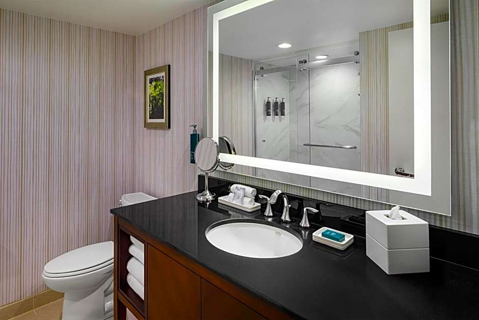 Hilton Washington DC Rockville Executive Meeting Center