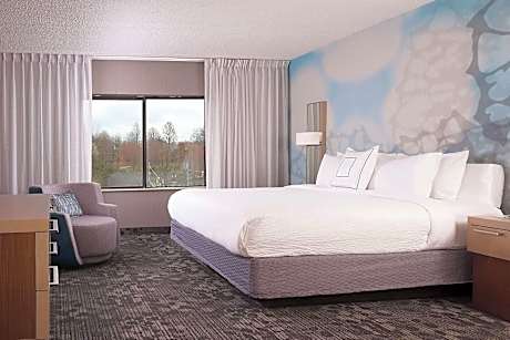 Suite, 1 Bedroom (1 King Bed and 1 Double Sofa Bed)