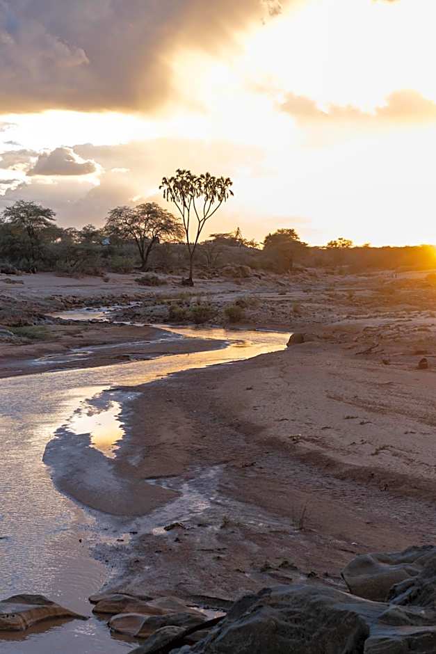 Sarova Shaba Game Lodge