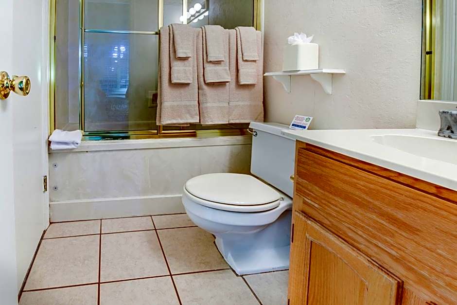 Plaza Suites Downtown New Orleans