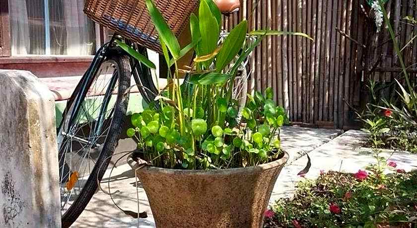 Artist's Place Trat