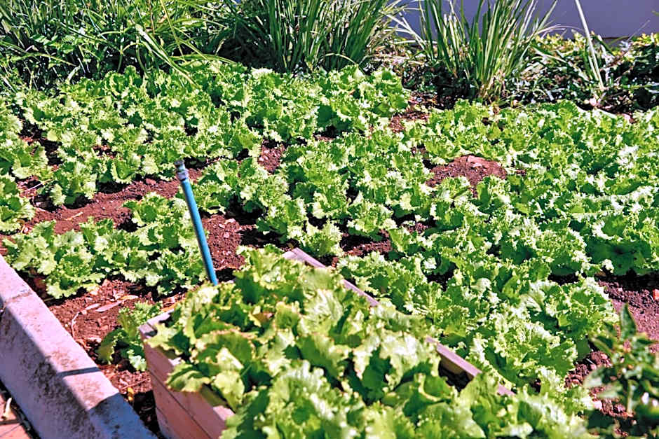 City Lodge Hotel Johannesburg Airport Barbara Road