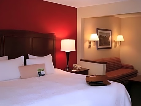 Deluxe King Bed