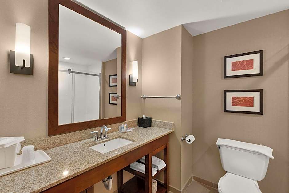 Photo 1 of 8 of 1 King Bed with Sofabed Suite