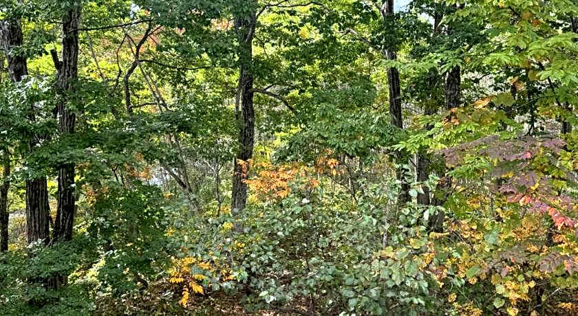 ALBERGO DEL PESCATORE