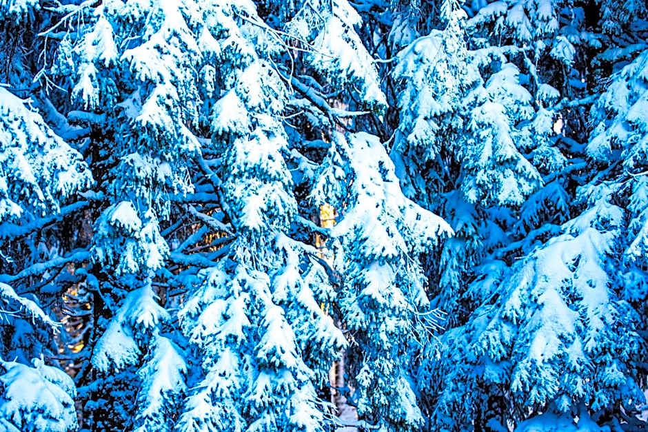 Sunny Hills Ski&Wellness