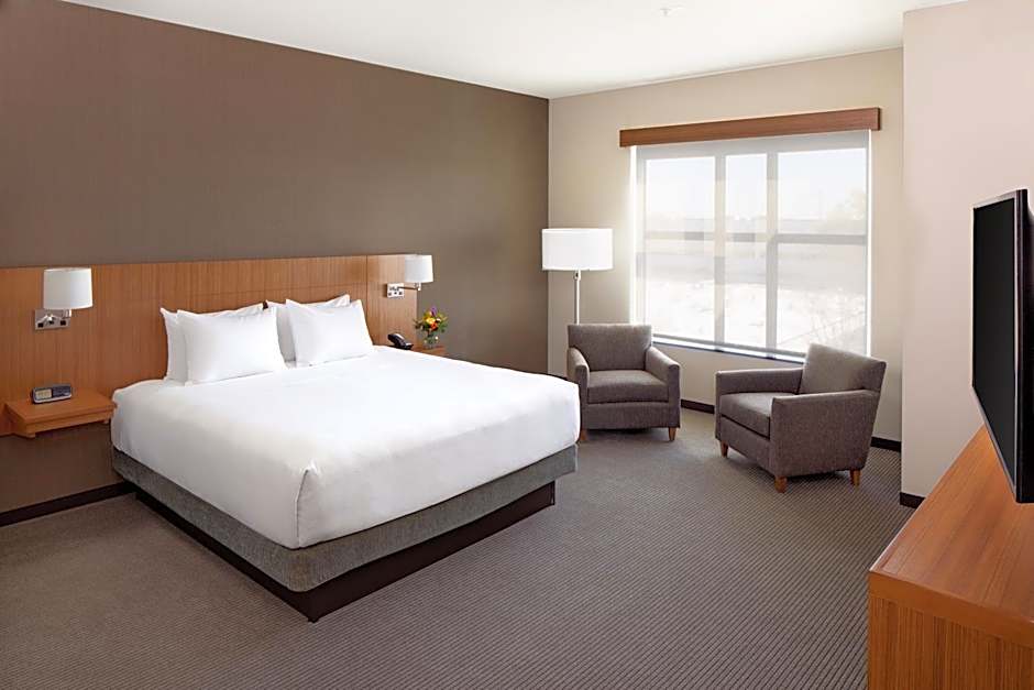 Photo 1 of 4 of 1 Bedroom 1 King Bed with Sofabed Suite