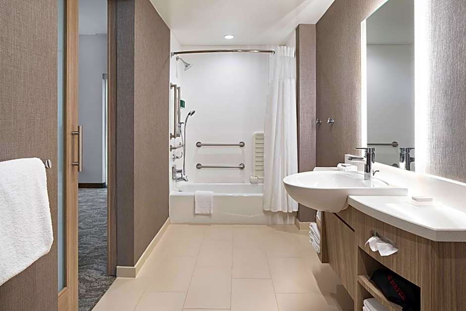 SpringHill Suites by Marriott Greenville Downtown