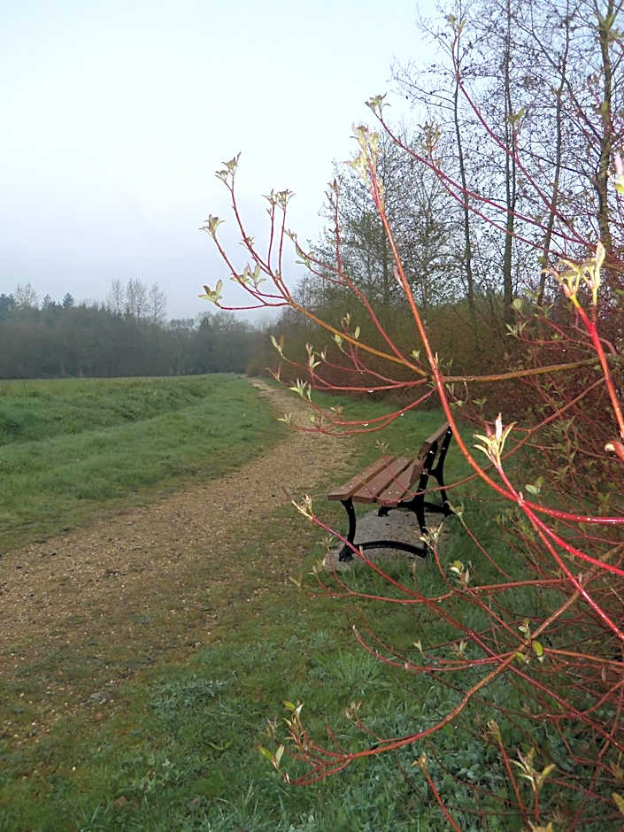 Do Mi Si La Do Ré gîte partagé