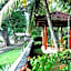 Lovina Beach Hotel