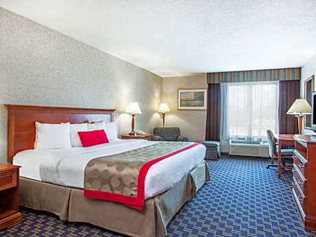 1 King Bed Room
