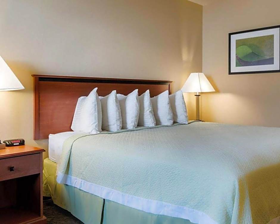 Rodeway Inn Of Junction