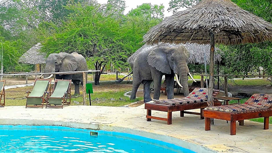 Africa Safari Selous Nyerere national park