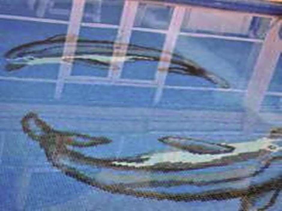 Ucem Hotel Golden Sea