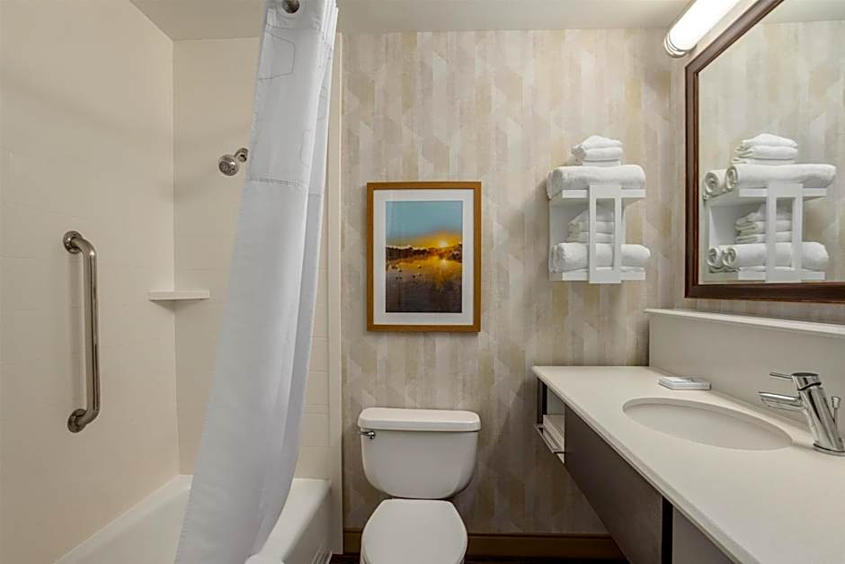 Hampton Inn Springfield-South