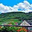 Ferienweingut Stein