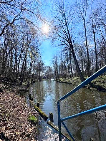 Domki nad Szelągiem