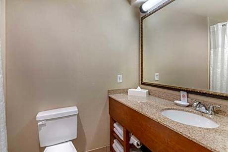 King Room - Non-Smoking