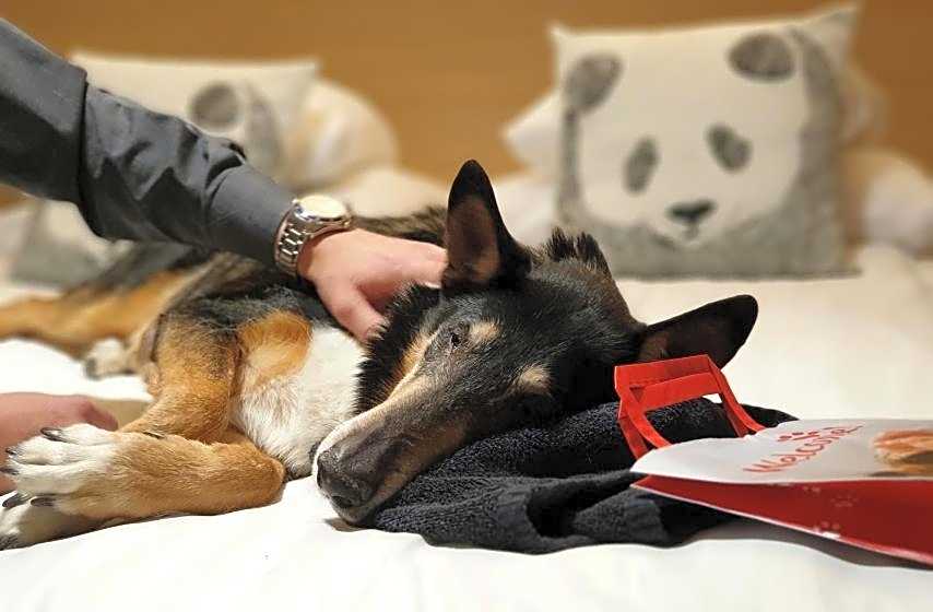 Original Sokos Hotel Lakeus Seinäjoki