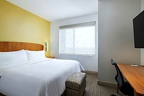 1 Bedroom Suite, 1 King, Sofa bed