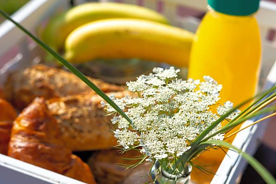 Surfana Vlieland Surf Host en Bed & Breakfast