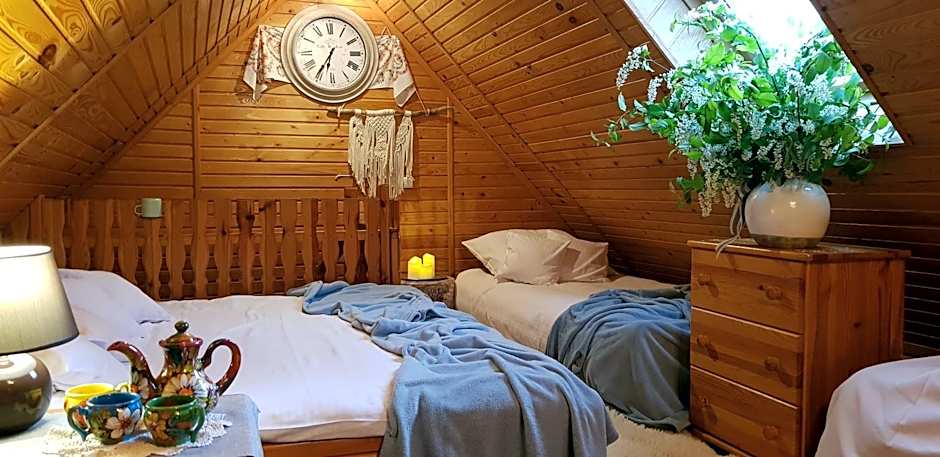 Zielone Wzgórza - Centrum Soliny - SPA 695-744-679
