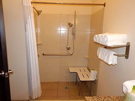 1 King Standard Comm Access Roll Shwr