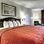 Quality Inn & Suites Clinton - Jackson West