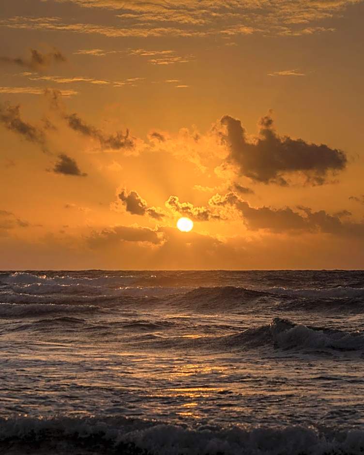 O' Tulum Boutique Hotel - Adults Only