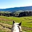 Miramont Horse Trekking Hostel