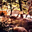 Kinugawa Onsen Hana no Yado Matsuya Ryokan