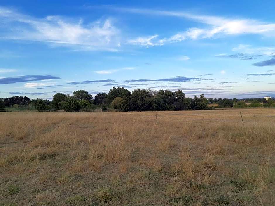 maison blanche piscine et petit déjeuner