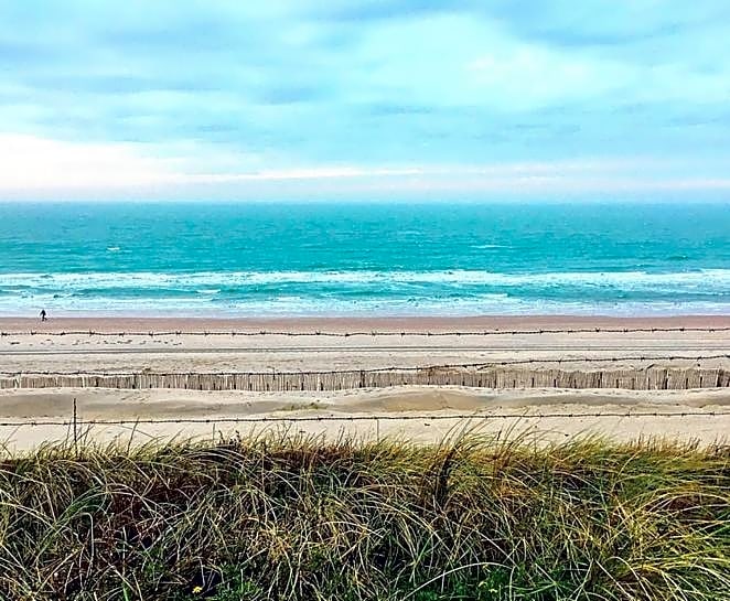 Tiny House Lindenhouse