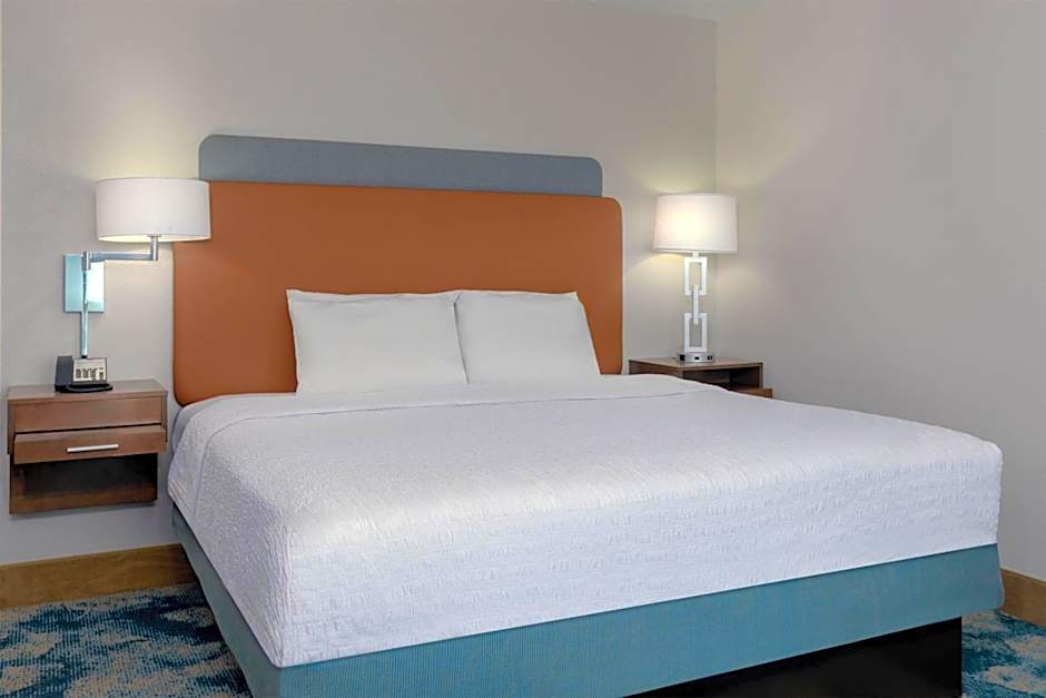 Hampton Inn By Hilton & Suites Tampa Airport Avion Park Westshore