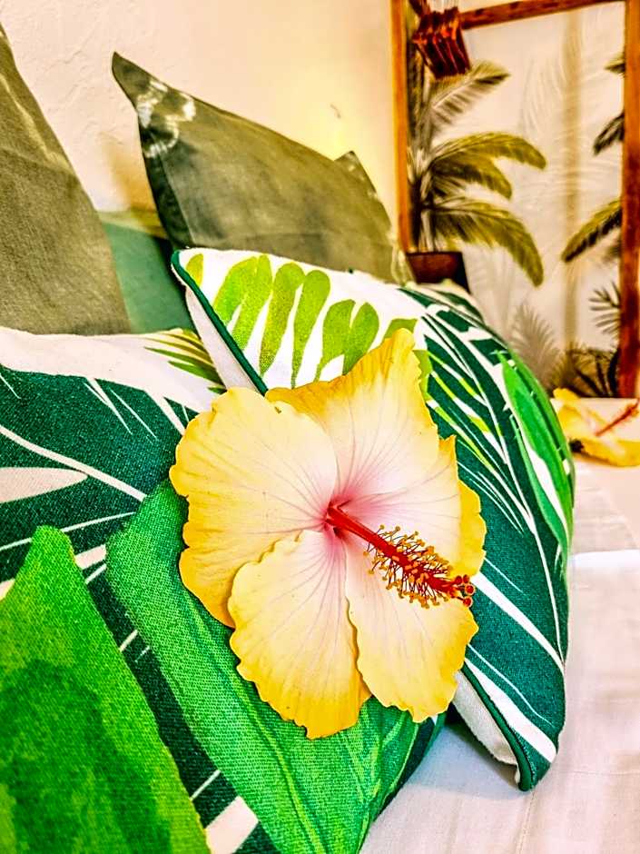 Maison d'hôtes Villa des Mascareignes