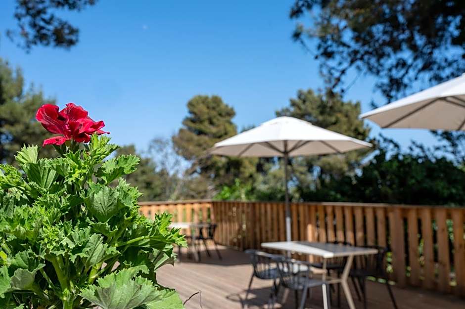 Kibbutz Malkiya Travel Hotel