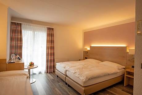 Superior Double Room Mountain Side