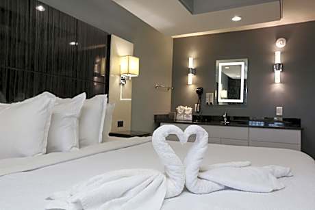 Single Room - Disability Access