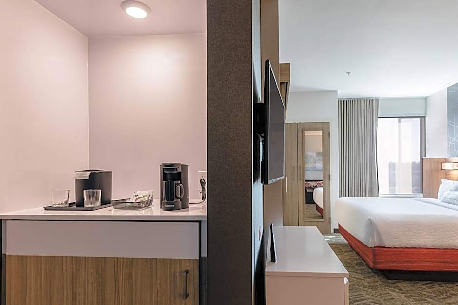 SpringHill Suites by Marriott Columbia