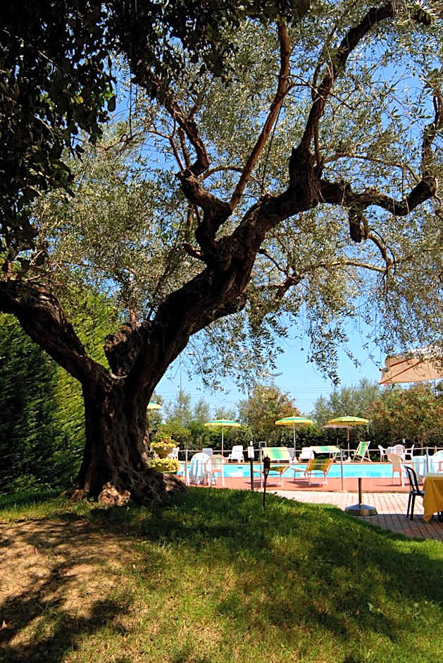 Hotel Parco degli Ulivi
