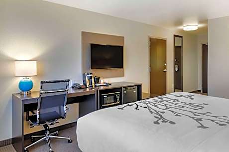 King Room with Shower - Non-Smoking