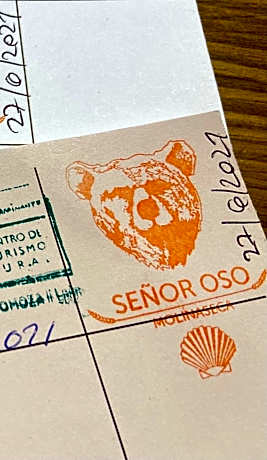 SEÑOR OSO