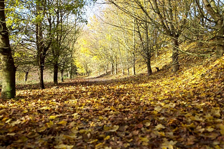 Greenbanks Hotel Norfolk